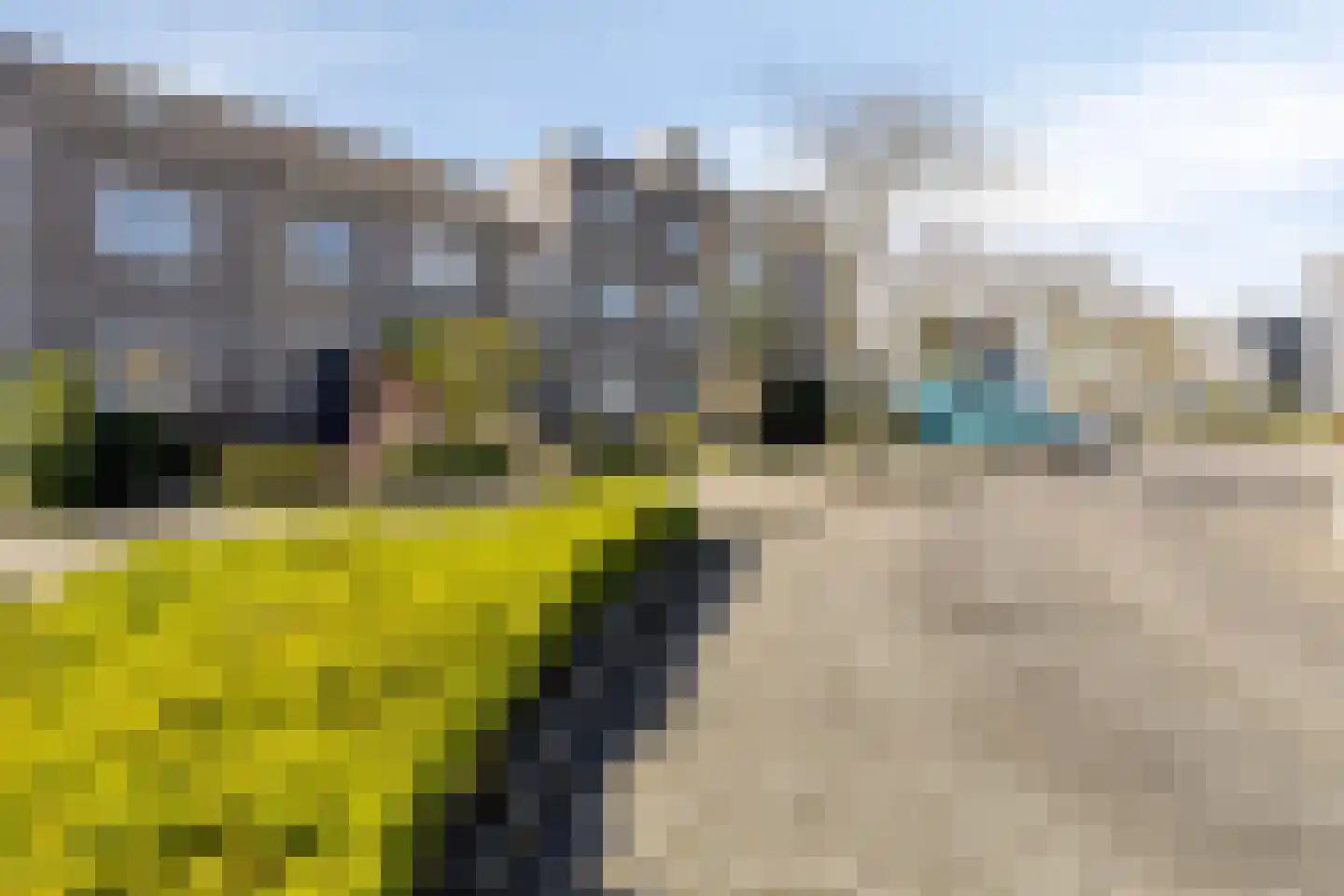 Palingstraat 6 Bergen op Zoom thumbnail 31