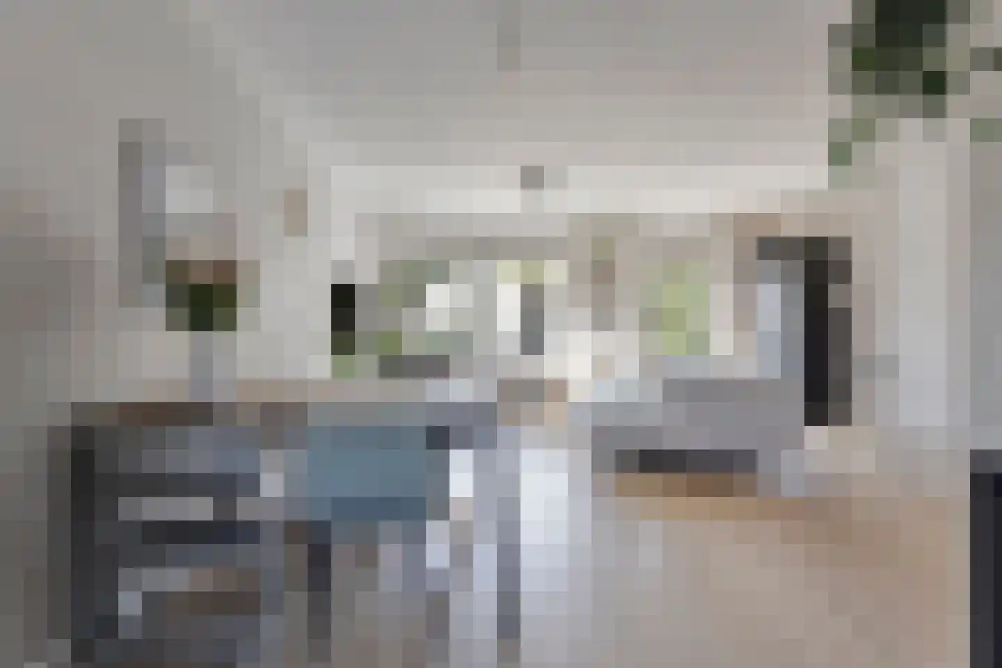 Palingstraat 6 Bergen op Zoom thumbnail 6