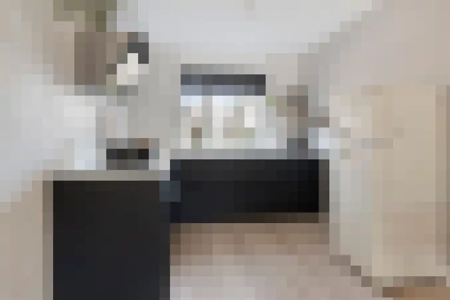 Palingstraat 6 Bergen op Zoom thumbnail 7