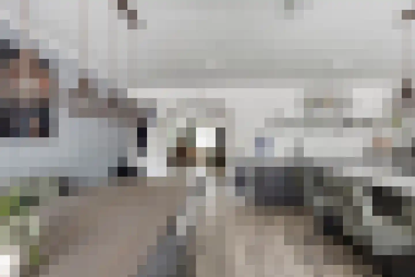 Palingstraat 9 Bergen op Zoom thumbnail 10
