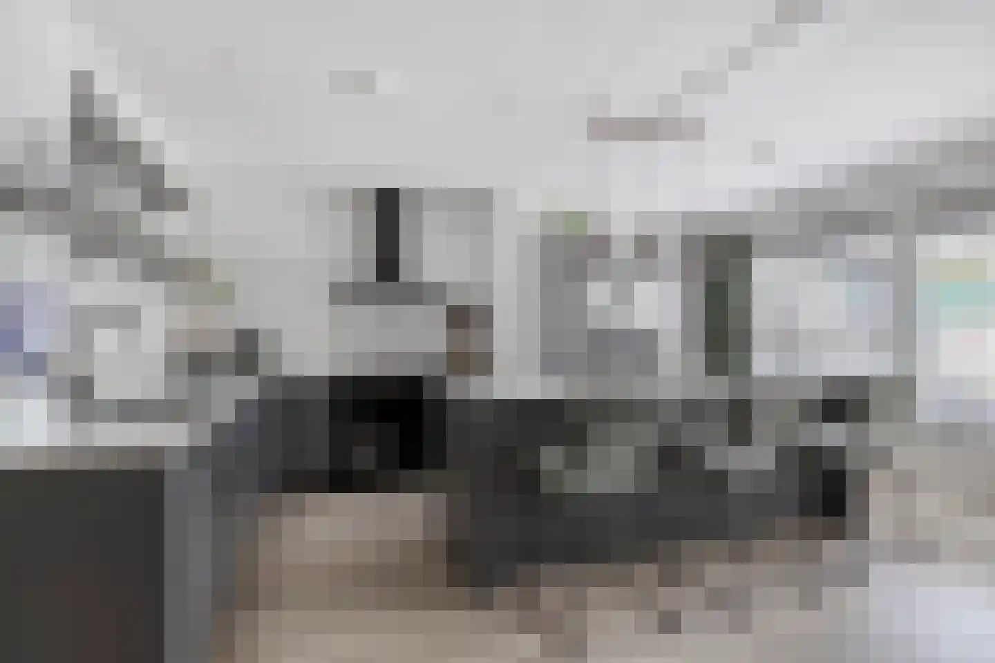 Palingstraat 9 Bergen op Zoom thumbnail 12