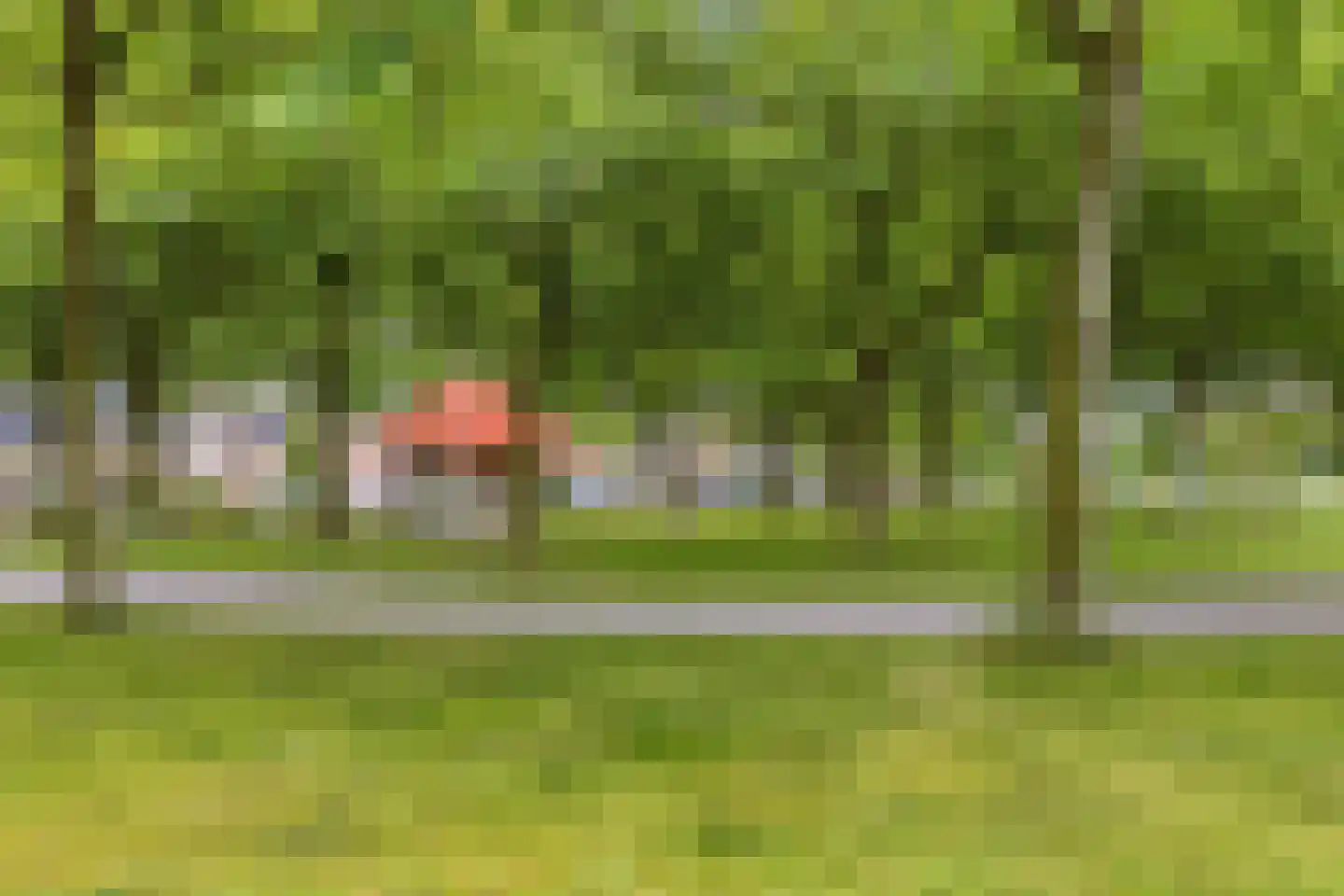 Palingstraat 9 Bergen op Zoom thumbnail 40