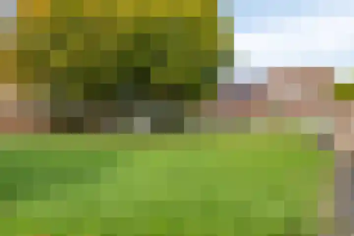 Palingweg 24 Almere thumbnail 28