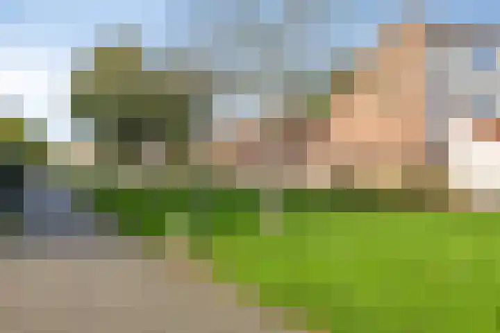 Palingweg 24 Almere thumbnail 29