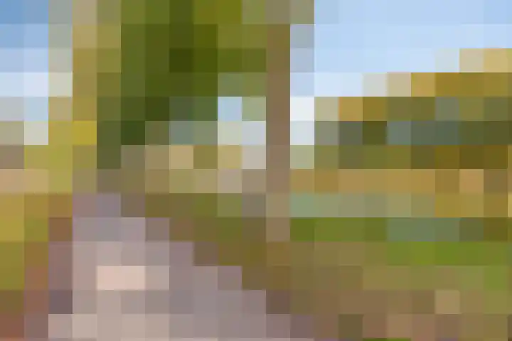 Palingweg 24 Almere thumbnail 30