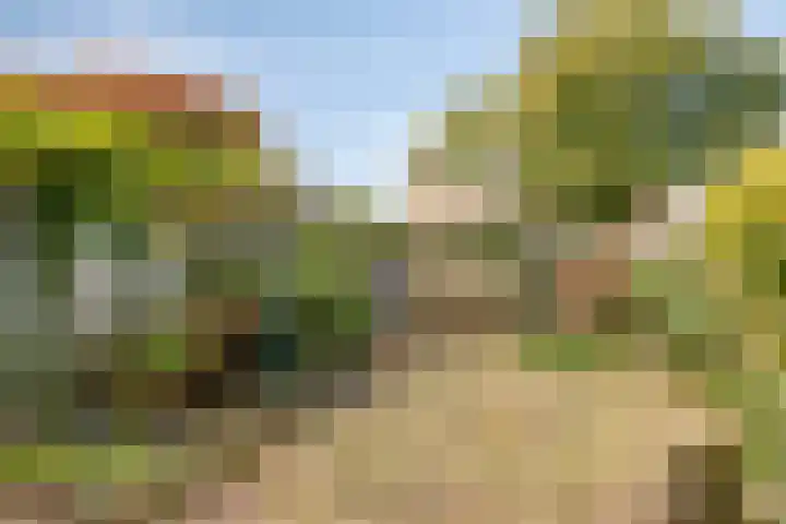 Palingweg 24 Almere thumbnail 4