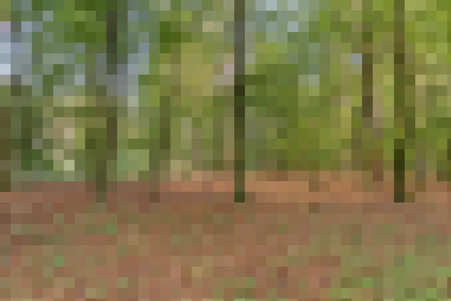 Palisiumpark 21 Eerbeek thumbnail 48