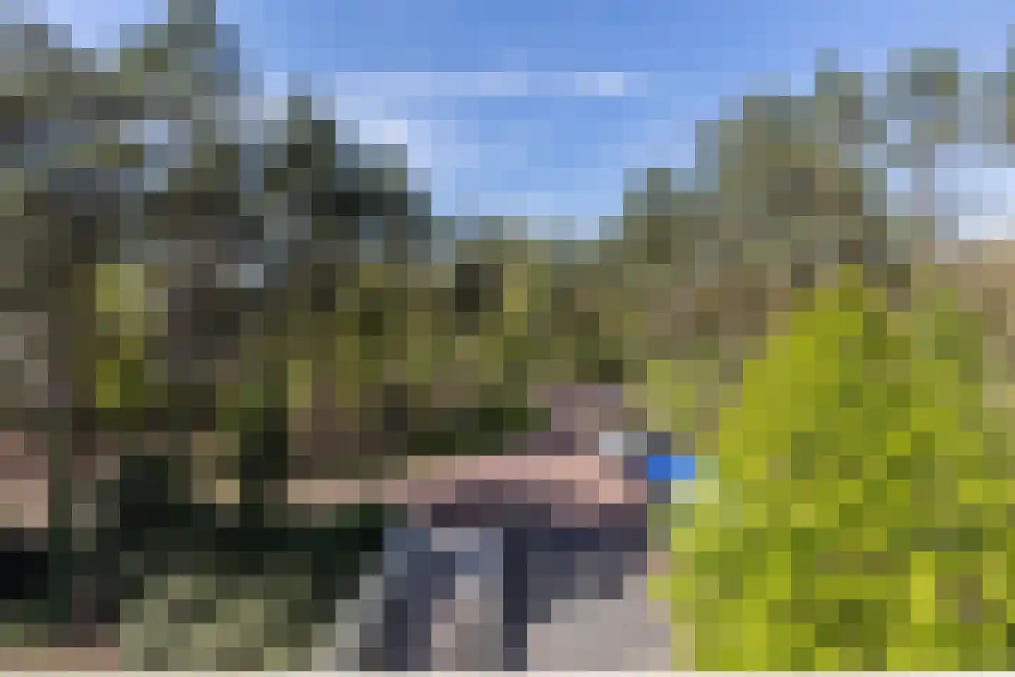 Palisiumpark 26 Eerbeek thumbnail 4