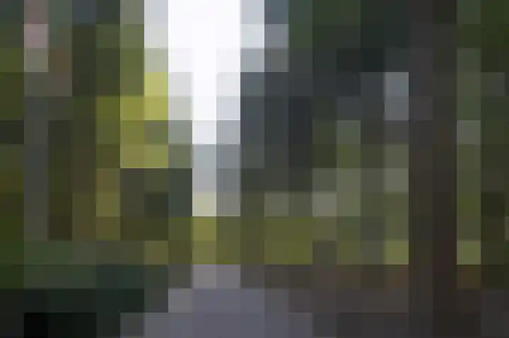 Palisiumpark 4 Eerbeek thumbnail 18