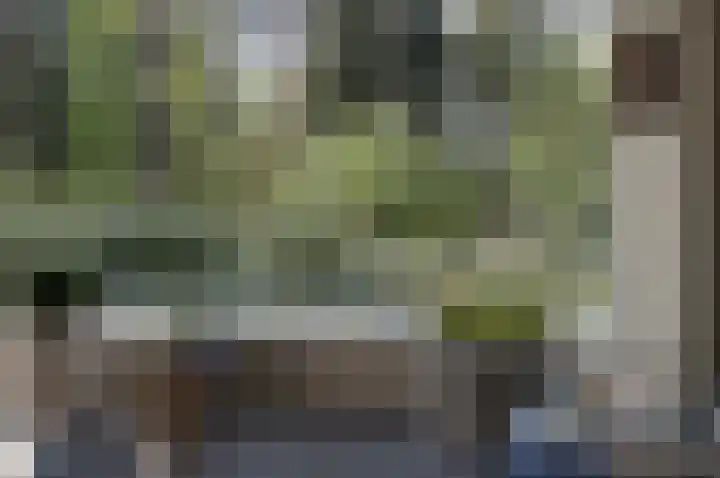 Palisiumpark 4 Eerbeek thumbnail 8