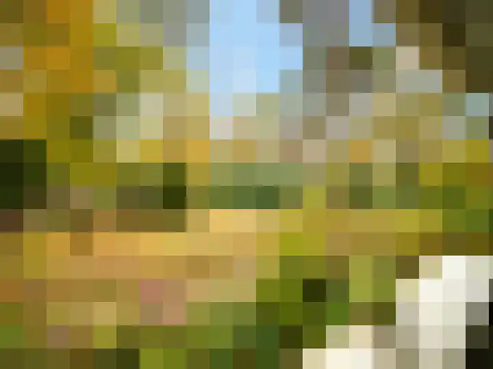 Palisiumpark 7 Eerbeek thumbnail 26