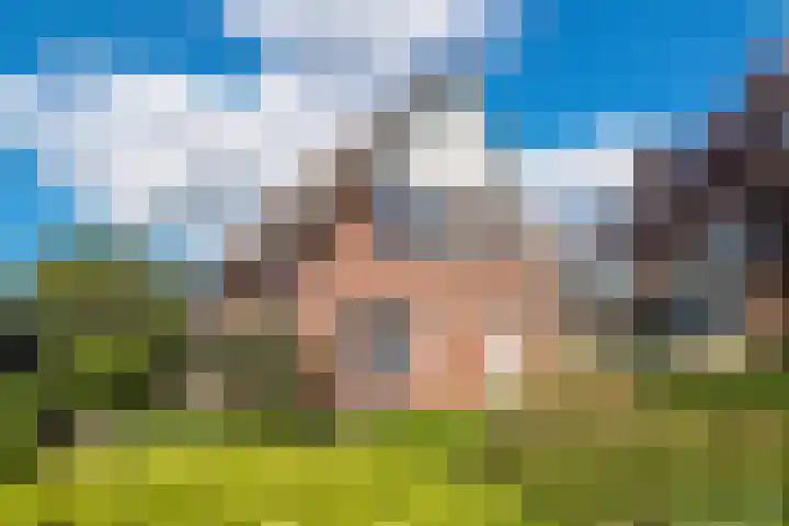Palisiumpark 7 Eerbeek thumbnail 31