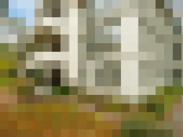 Palisiumpark 7 Eerbeek thumbnail 42