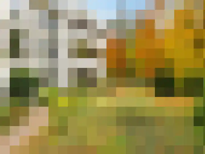 Palisiumpark 7 Eerbeek thumbnail 43