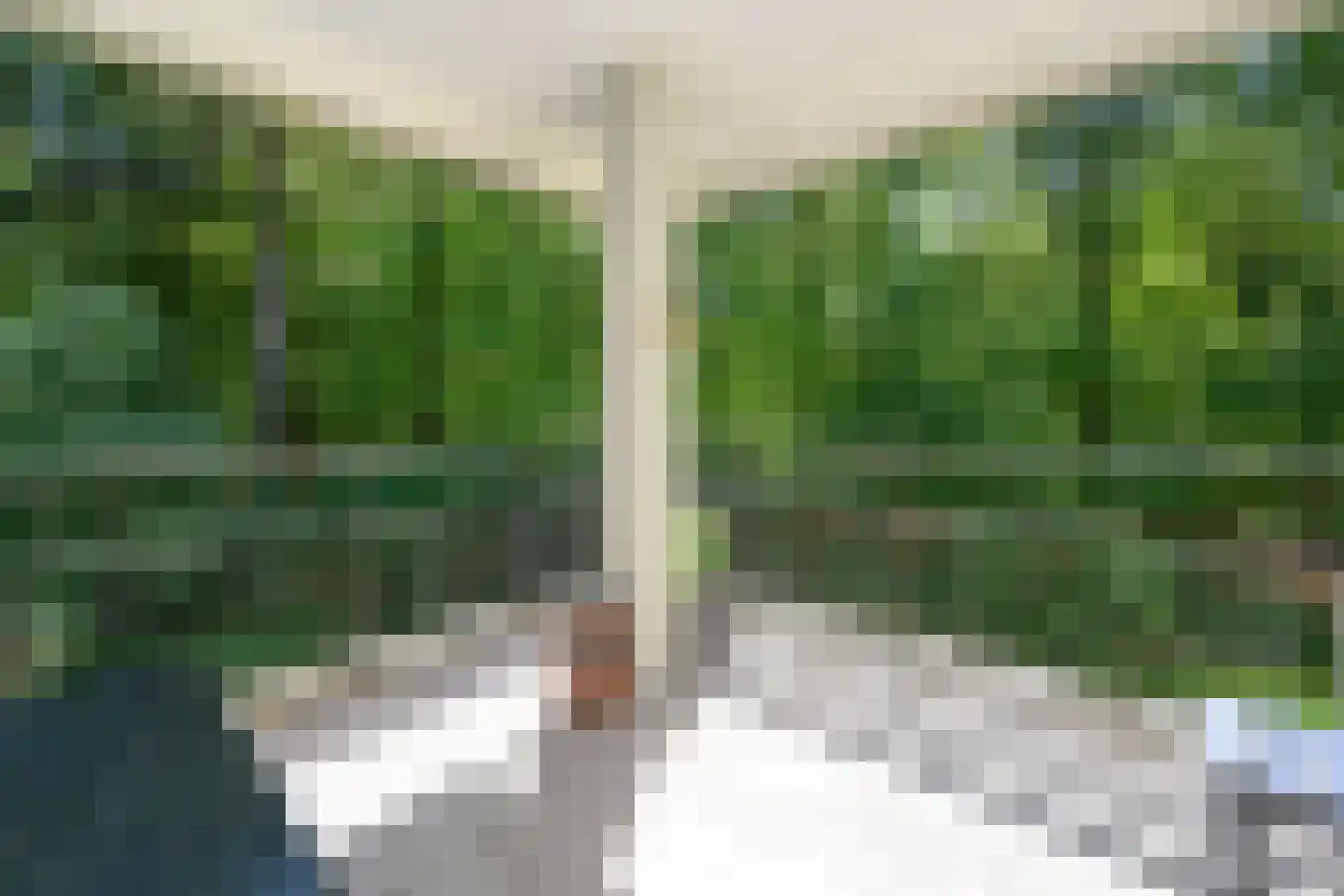 Palisiumpark 71 Eerbeek thumbnail 19