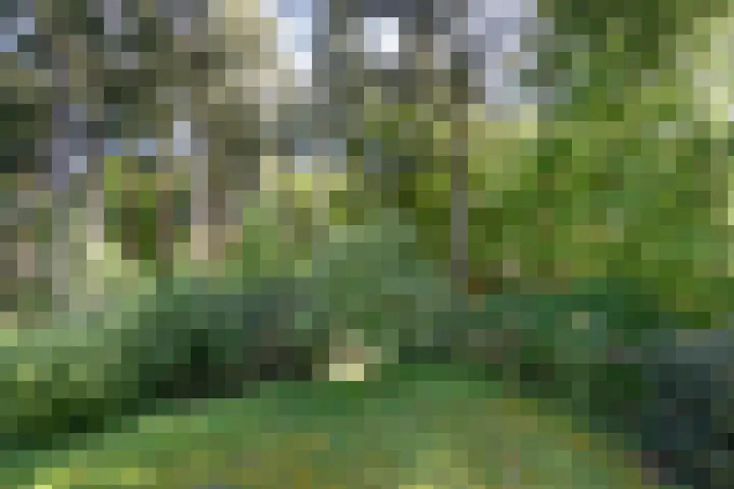 Palisiumpark 71 Eerbeek thumbnail 21