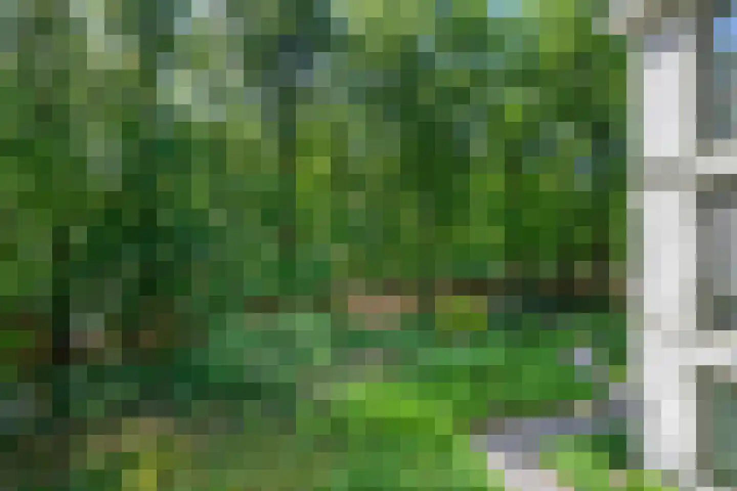 Palisiumpark 71 Eerbeek thumbnail 22