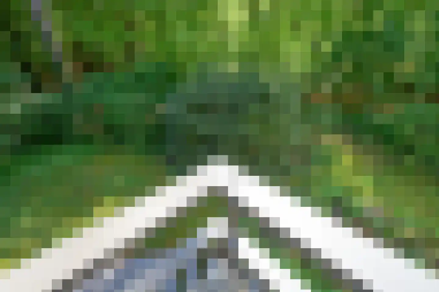 Palisiumpark 71 Eerbeek thumbnail 23