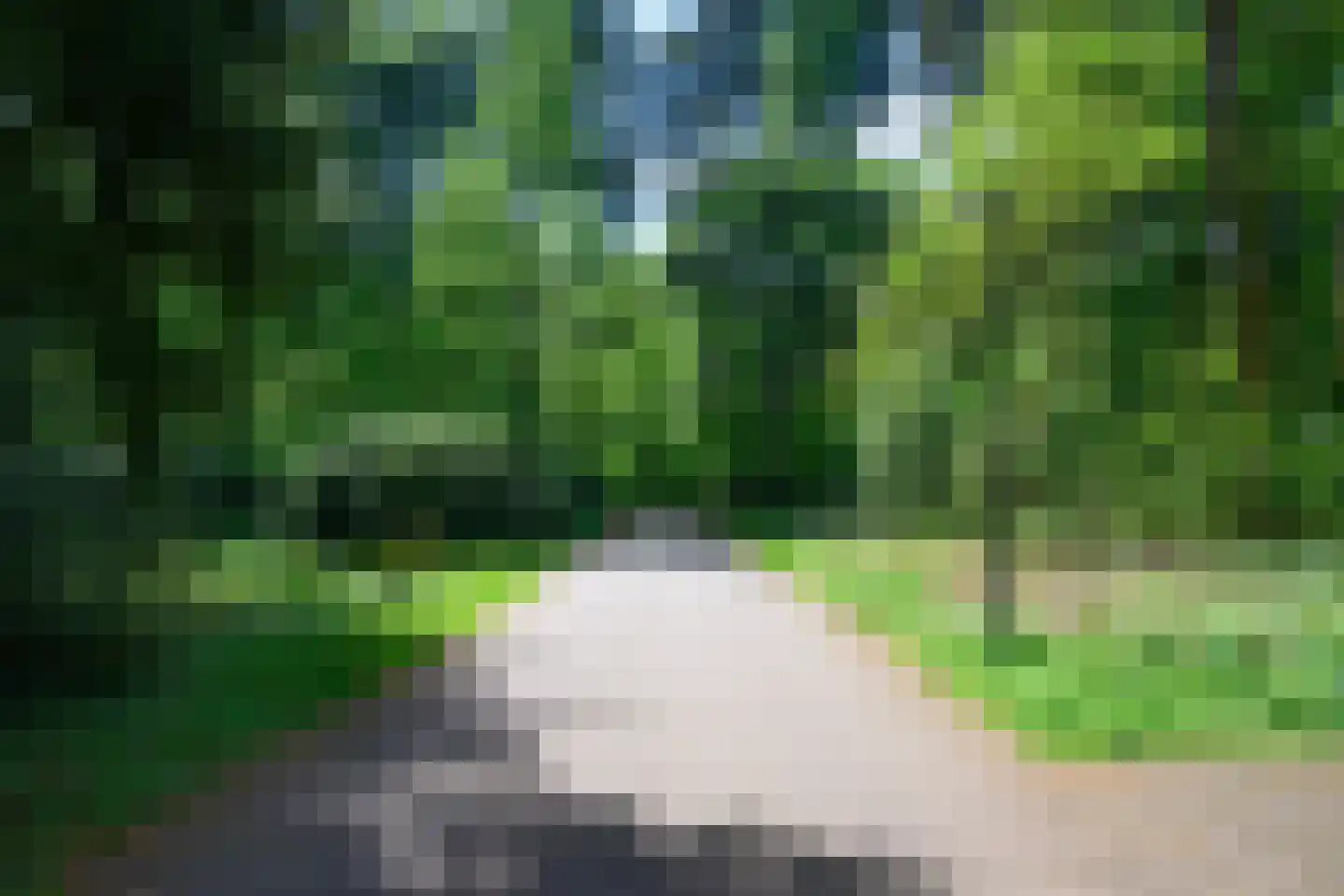 Palisiumpark 71 Eerbeek thumbnail 31
