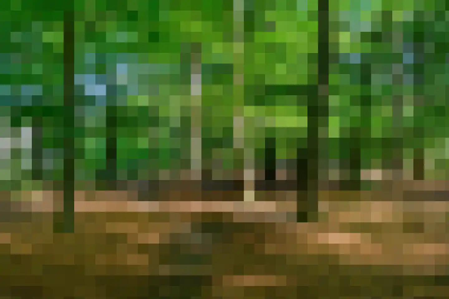 Palisiumpark 71 Eerbeek thumbnail 32