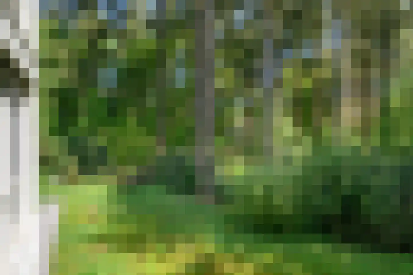 Palisiumpark 71 Eerbeek thumbnail 4