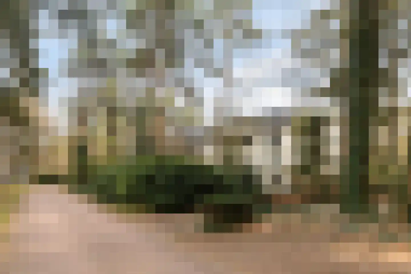 Palisiumpark 8 Eerbeek thumbnail 39