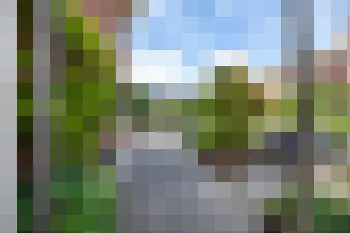 Palisiumpark 8 Eerbeek thumbnail 5