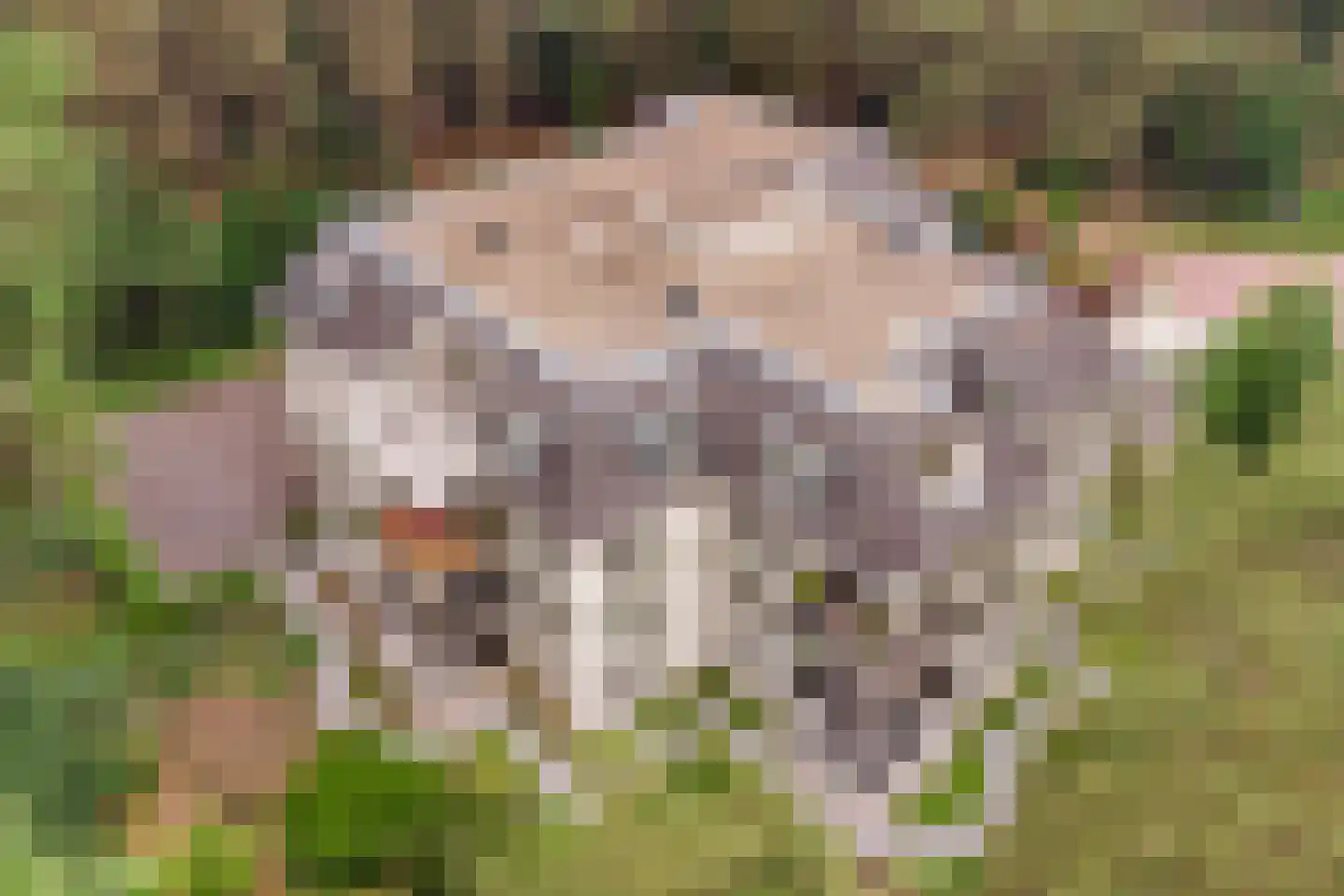 Palisiumpark 8 Eerbeek thumbnail 6