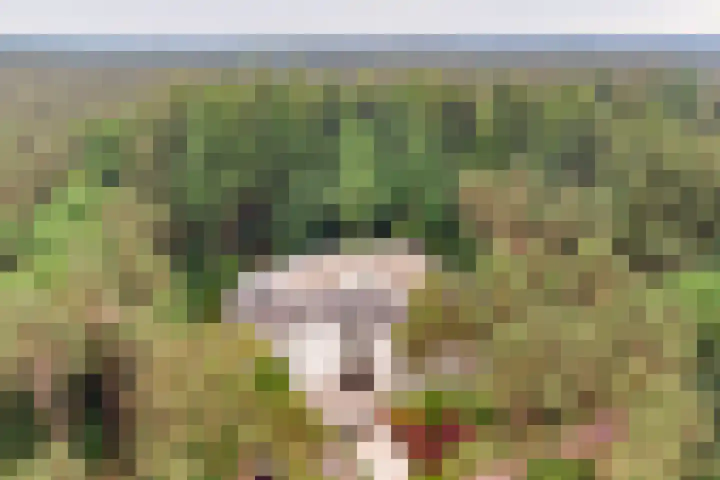 Palisiumpark 8 Eerbeek thumbnail 7