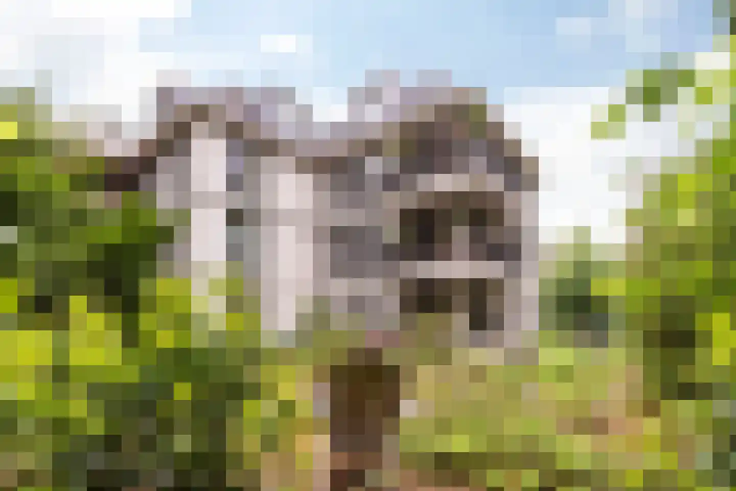 Palisiumpark 8 Eerbeek thumbnail 8