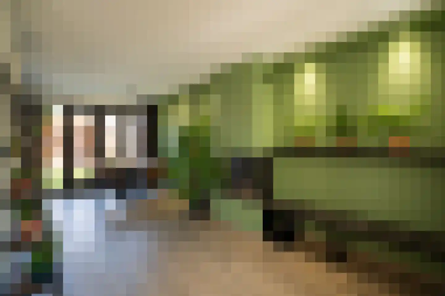 Palissade 108 Leerdam thumbnail 13