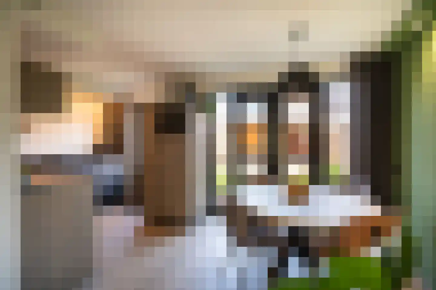 Palissade 108 Leerdam thumbnail 16
