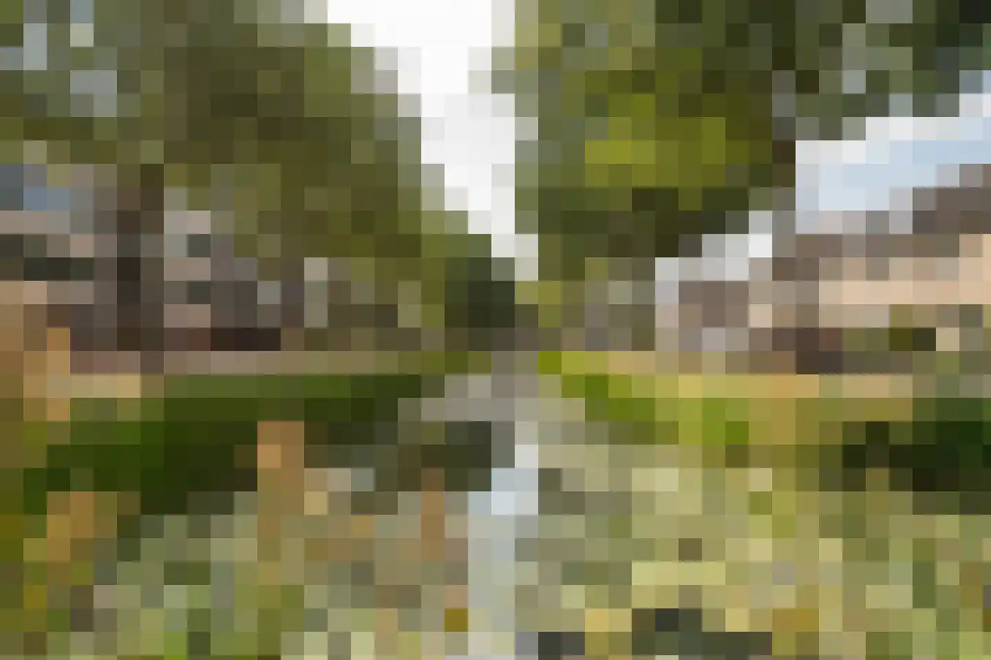 Palissade 108 Leerdam thumbnail 33