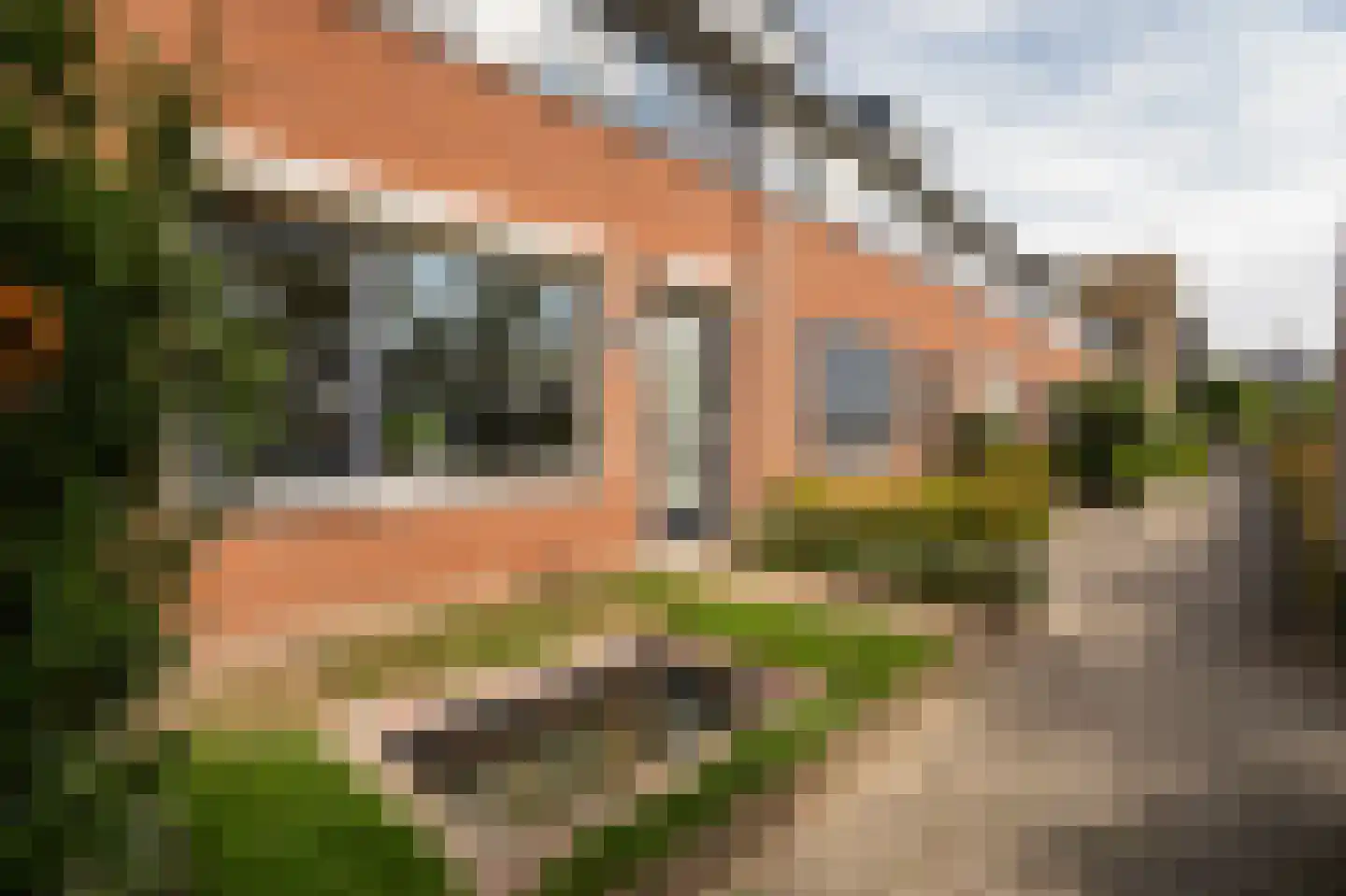 Palissade 108 Leerdam thumbnail 6