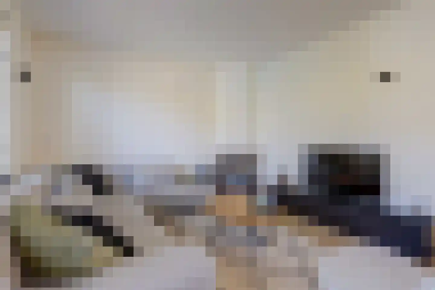Palissade 12 Leerdam thumbnail 12