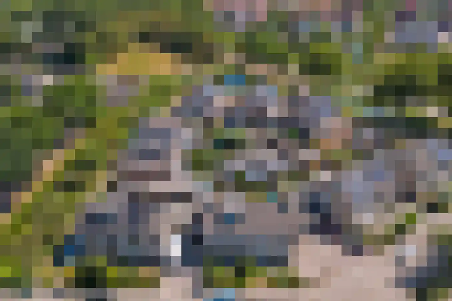 Palissade 12 Leerdam thumbnail 42