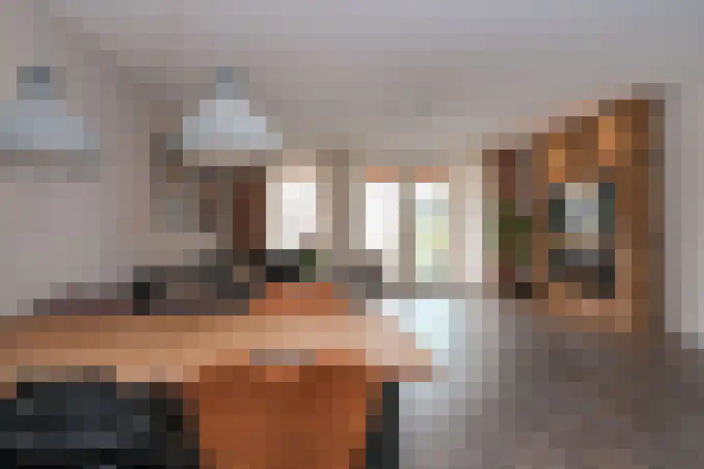 Palissade 13 Almelo thumbnail 13