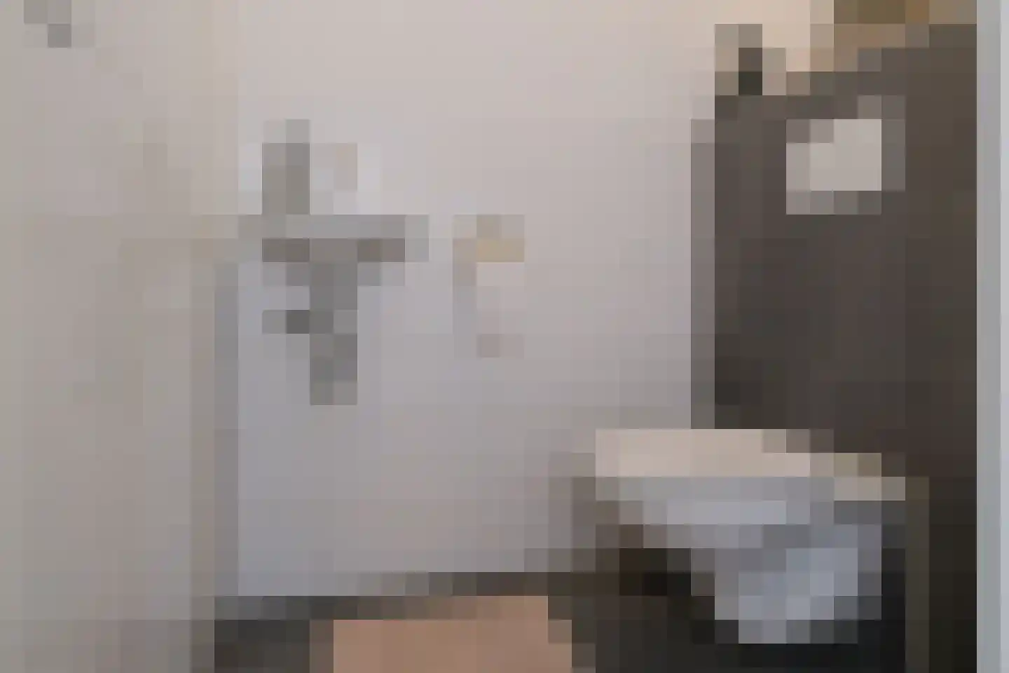 Palissade 13 Almelo thumbnail 14