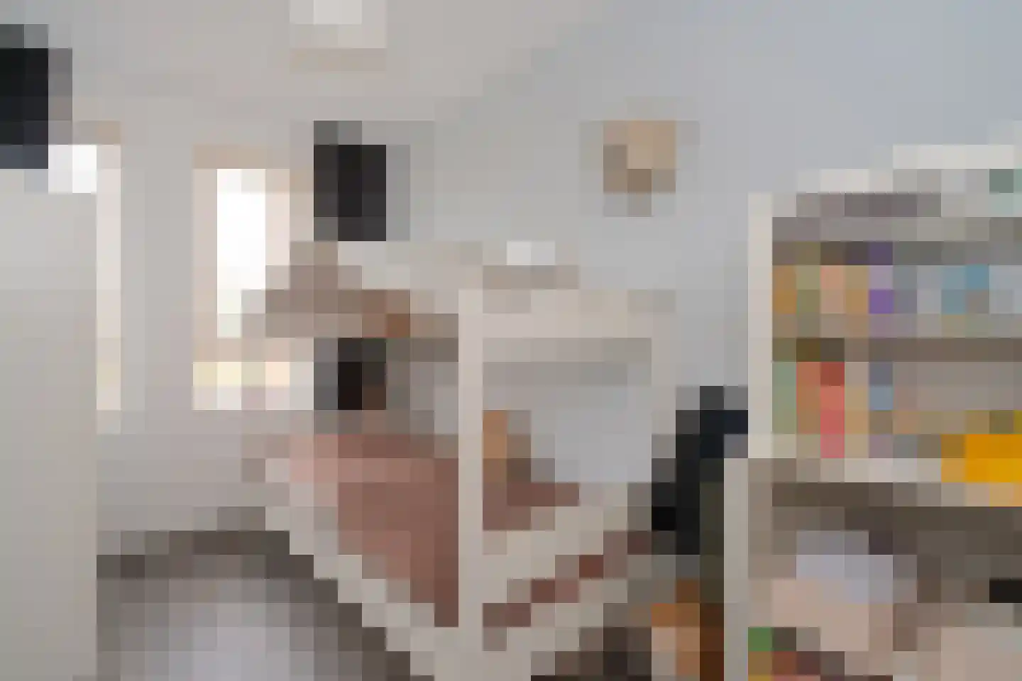 Palissade 13 Almelo thumbnail 19