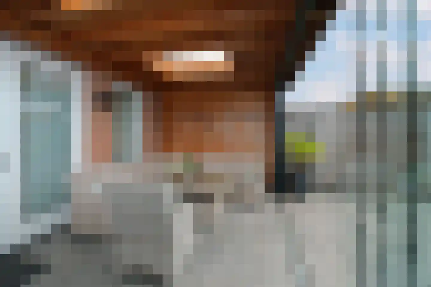 Palissade 13 Almelo thumbnail 30