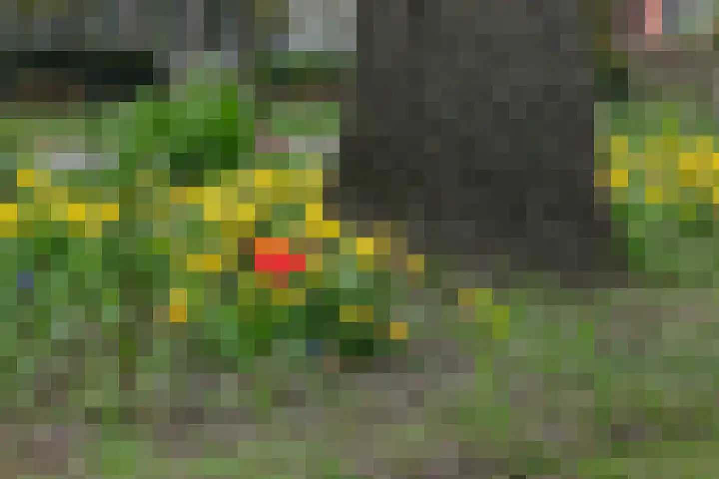 Palissade 13 Almelo thumbnail 32