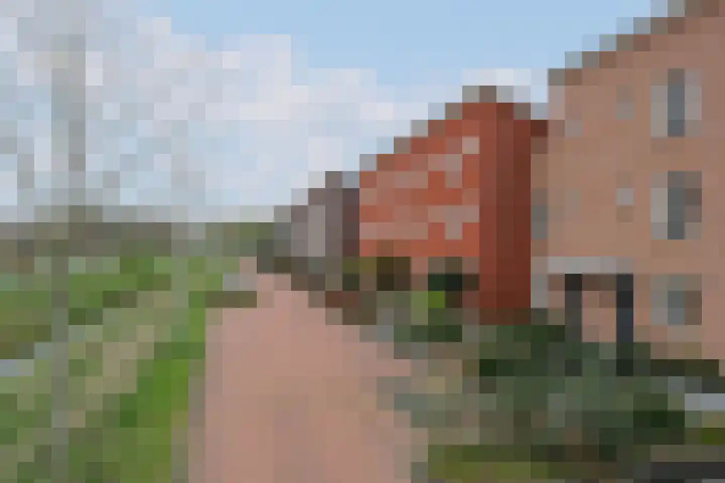 Palissade 13 Almelo thumbnail 33