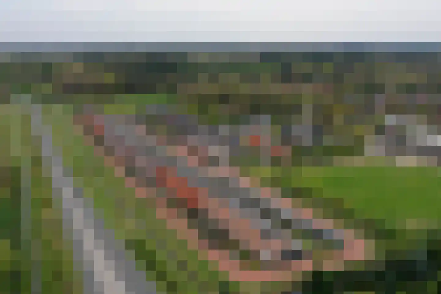 Palissade 13 Almelo thumbnail 36