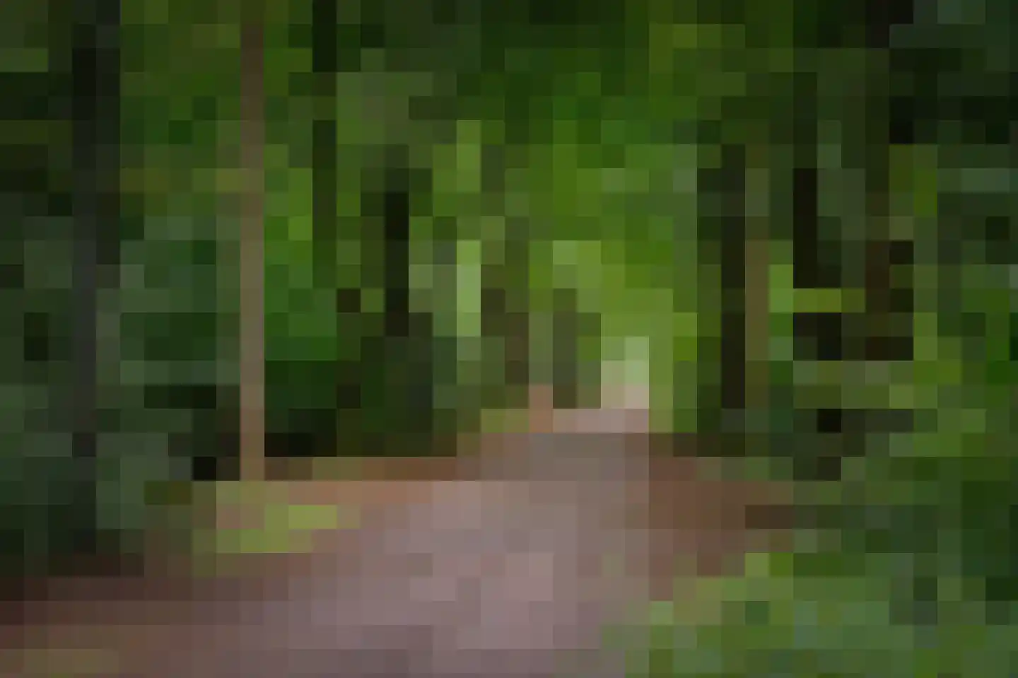 Palissade 13 Almelo thumbnail 39