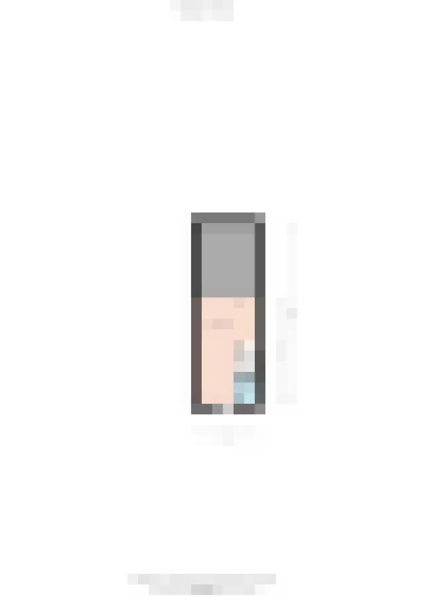 Palissade 13 Almelo thumbnail 42