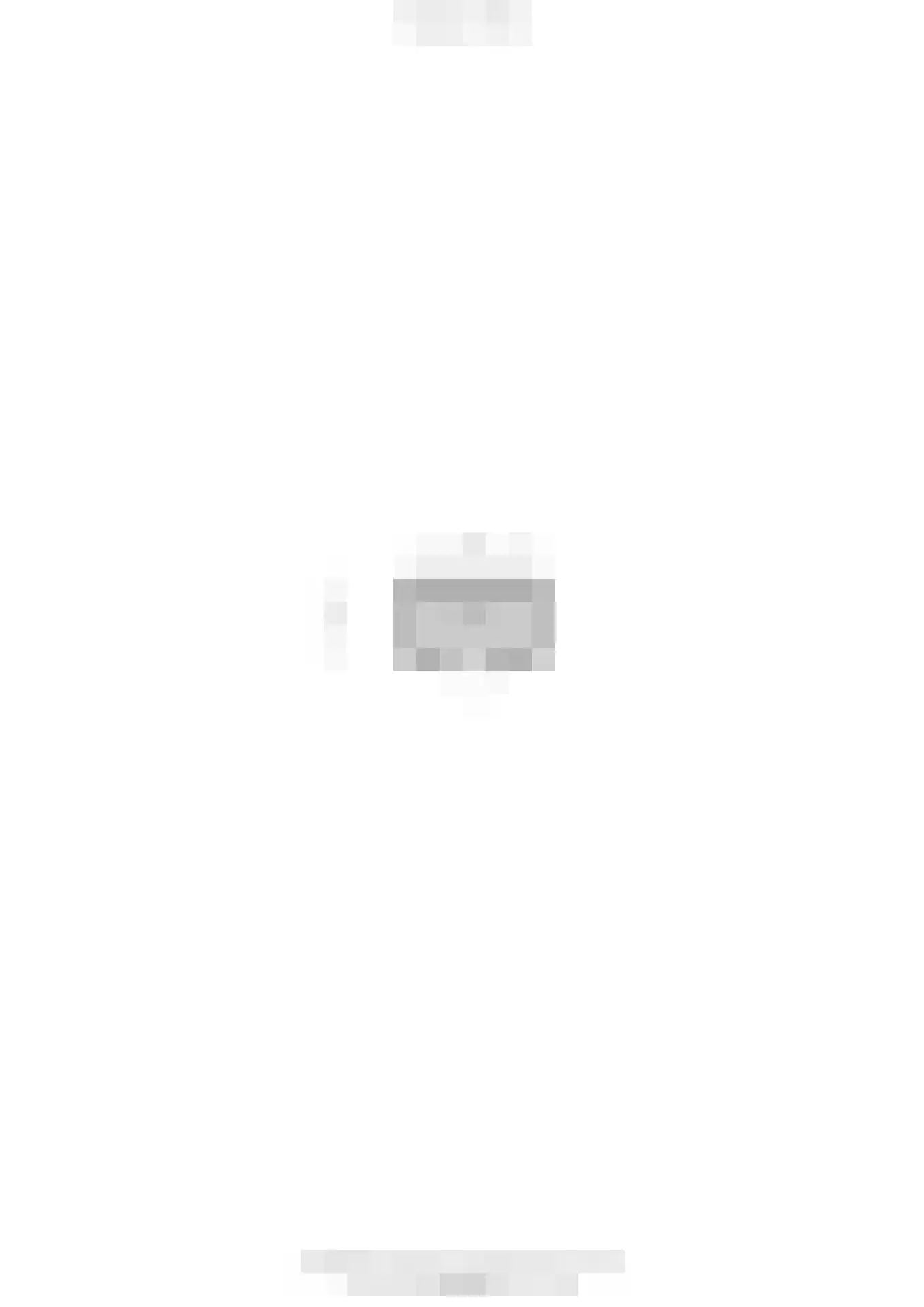 Palissade 13 Almelo thumbnail 43