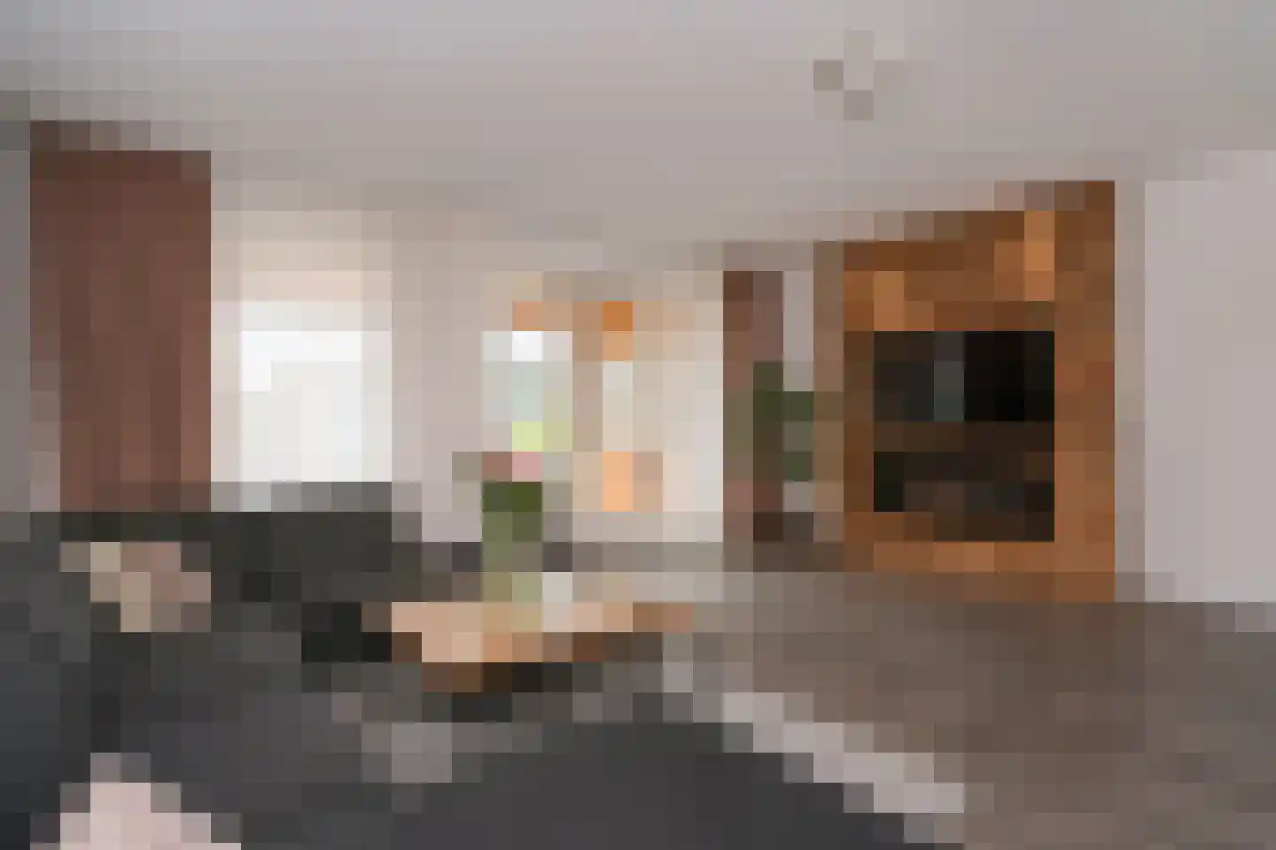 Palissade 13 Almelo thumbnail 8
