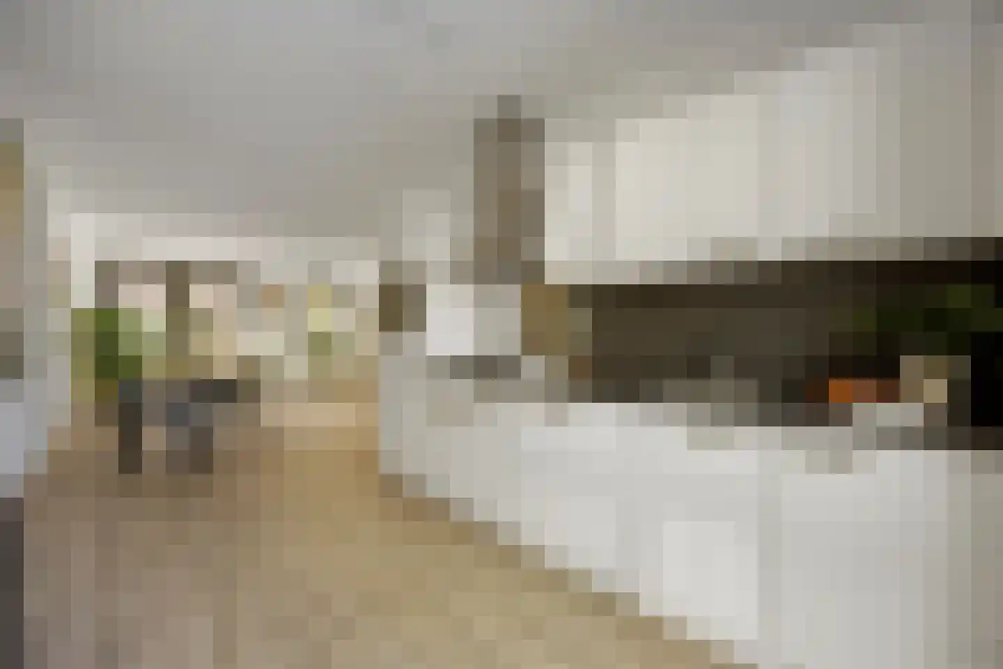 Palissade 15 Sleeuwijk thumbnail 14