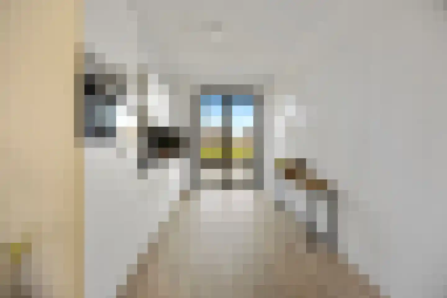 Palissade 15 Sleeuwijk thumbnail 15