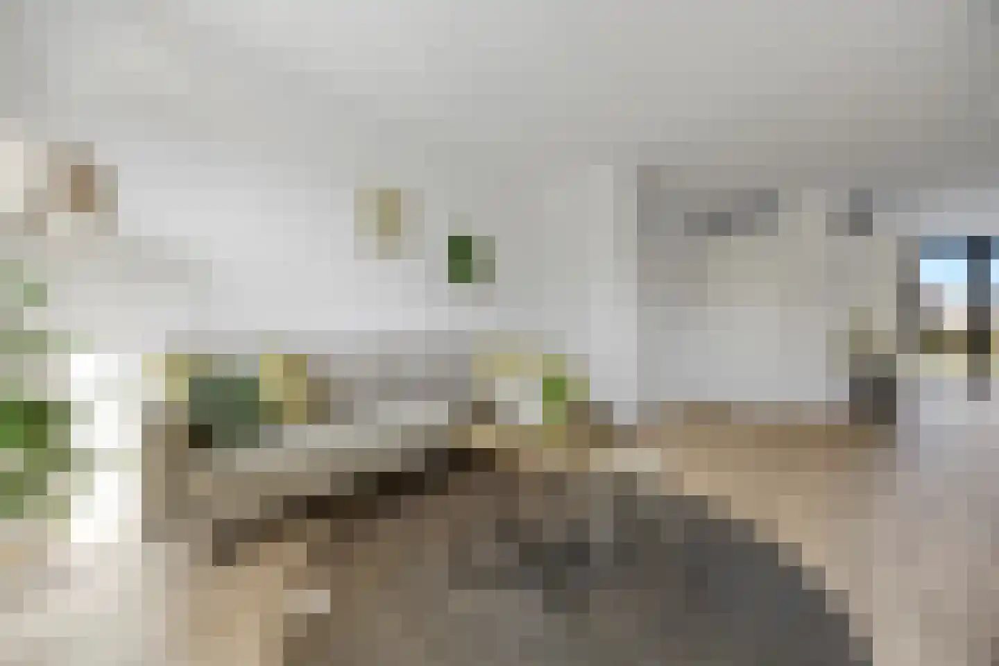 Palissade 15 Sleeuwijk thumbnail 17